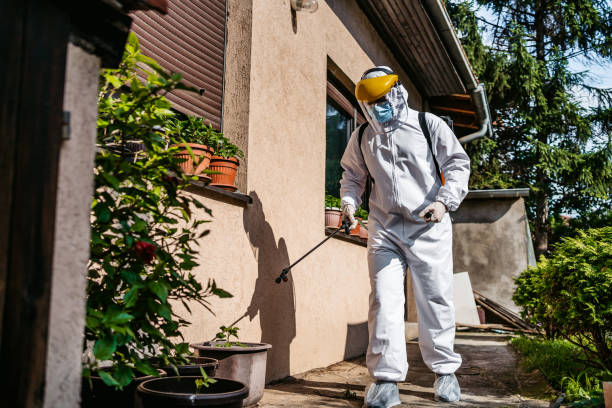 Best Ant Control Services  in New Vienna, OH